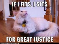 If It Fits I Sits