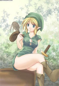 Link & Zelda Confusion / What if Zelda was a girl?