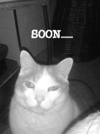 SOON