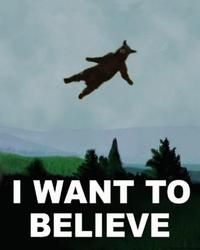Falling Bear
