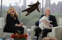 Falling Bear