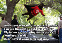 Falling Bear