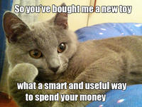 Willy Wonkat