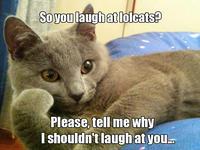 Willy Wonkat