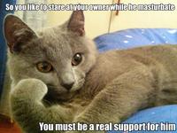 Willy Wonkat
