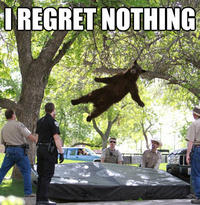 I Regret Nothing
