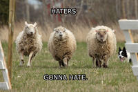 Haters Gonna Hate