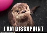 Son, I am disappoint