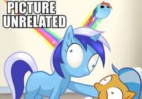 Pony Reactions