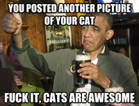 Upvoting Obama