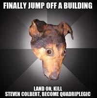 Depression Dog