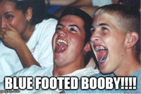 Immature High Schoolers