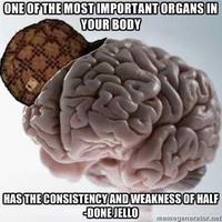 Scumbag Brain