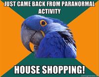 Paranoid Parrot