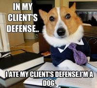 Lawyer Dog