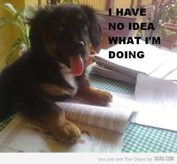 I Have No Idea What I'm Doing