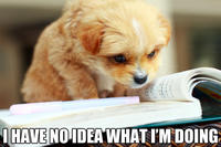 I Have No Idea What I'm Doing