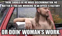 Almost Politically Correct Redneck