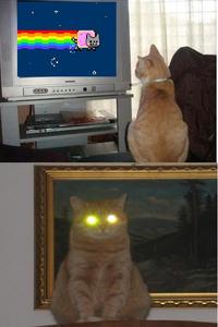 484.jpg