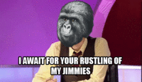 That Really Rustled My Jimmies