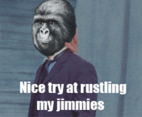 That Really Rustled My Jimmies