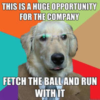 Dogs