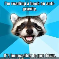 Lame Pun Coon