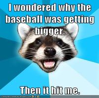 Lame Pun Coon
