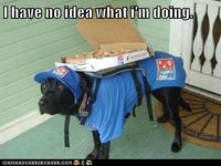 I Have No Idea What I'm Doing