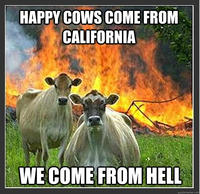 Evil Cows