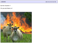 Evil Cows