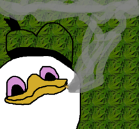 Dolan