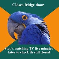 Paranoid Parrot