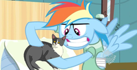 My Little Pony: Friendship is Magic