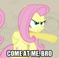 Pony Reactions