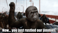 That Really Rustled My Jimmies