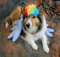 My Little Pony: Friendship is Magic