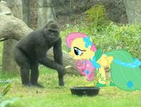 My Little Pony: Friendship is Magic