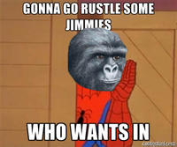 That Really Rustled My Jimmies