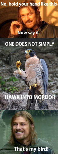 One Does Not Simply Walk into Mordor