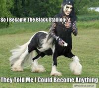 They Told Me I Could Be Anything I Wanted