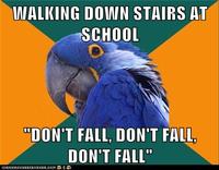 Paranoid Parrot