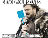 Imminent Ned / Brace Yourselves, X is Coming