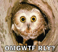 O RLY?