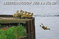Leeroy Jenkins