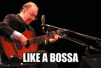 Like A Boss