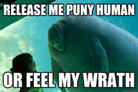 Overlord Manatee