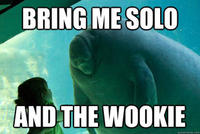 Overlord Manatee