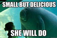 Overlord Manatee