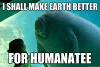 Overlord Manatee